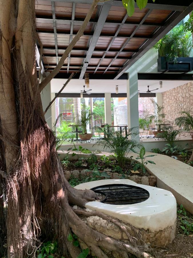 Treehouse Boutique Hotel, An Adults Only Boutique Hotel メリダ エクステリア 写真