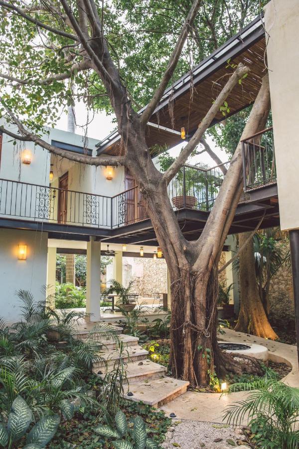 Treehouse Boutique Hotel, An Adults Only Boutique Hotel メリダ エクステリア 写真
